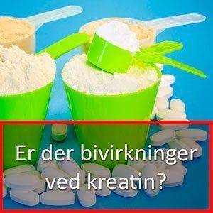 Kreatin bivirkninger