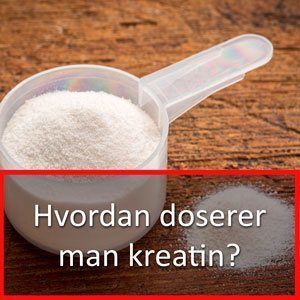 Kreatin dosering