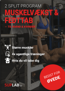 2 split træningsprogram til øvede