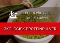 Økologisk proteinpulver