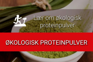 Økologisk proteinpulver