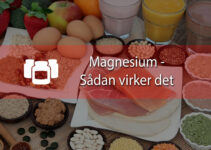 Magnesium – sådan vælger du det rigtige tilskud for dig
