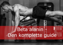 Hvad er beta alanin og hvordan virker det?