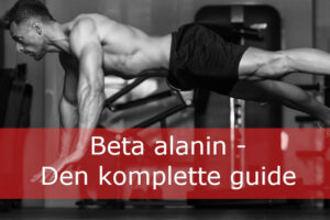 Hvad er beta alanin og hvordan virker det?