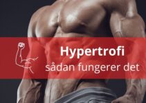 Hypertrofi – sådan fungerer det Hypertrofi – sådan fungerer det