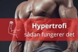 Hypertrofi – sådan fungerer det