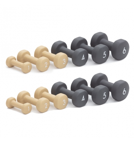 Abilica Dumbell justerbare håndvægte